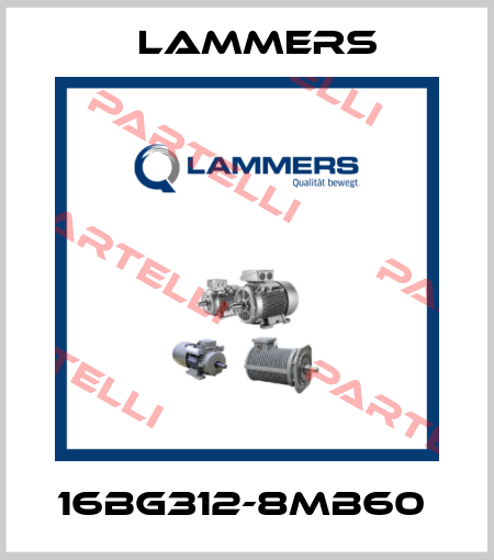 16BG312-8MB60  Lammers