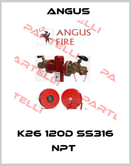 K26 120D SS316 NPT  Angus