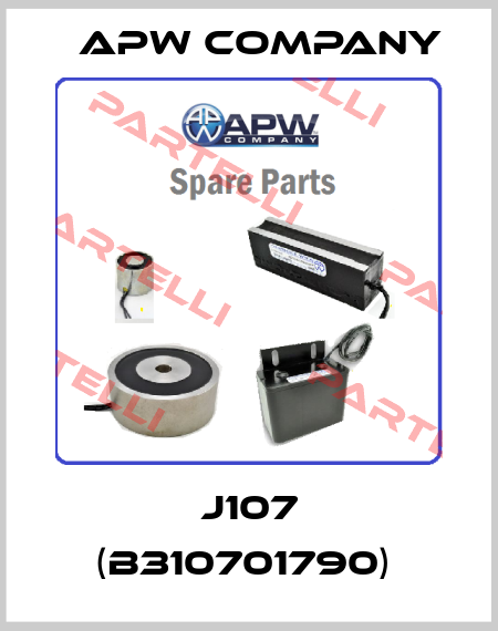 J107 (B310701790)  Apw Company