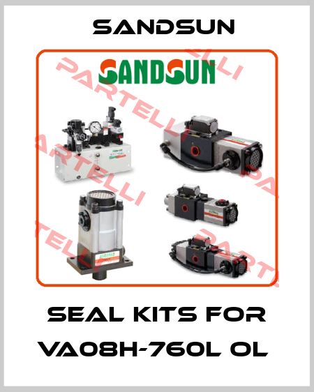 SEAL KITS FOR VA08H-760L OL  Sandsun