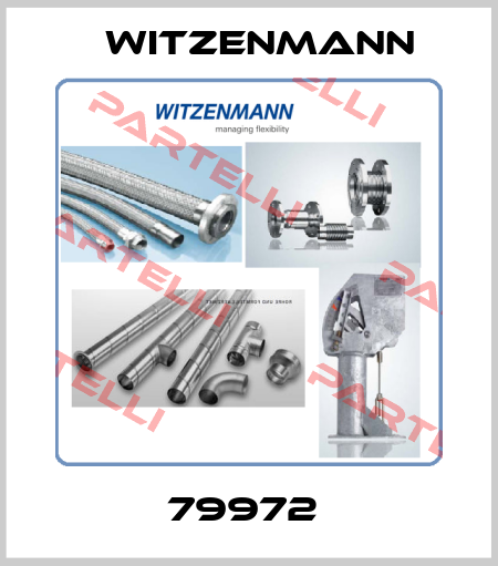 79972  Witzenmann