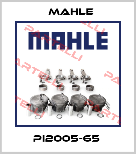 PI2005-65  MAHLE