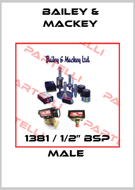 1381 / 1/2” BSP male  Bailey-Mackey