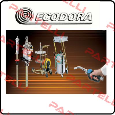 35425  Ecodora (Raasm)