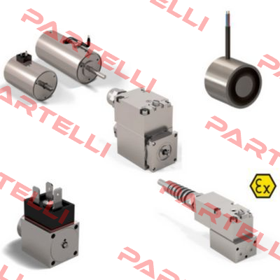 coil for 7329 820 24V Schienle