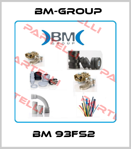 BM 93FS2  bm-group