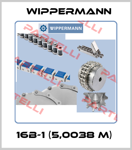 16B-1 (5,0038 m)  Wippermann