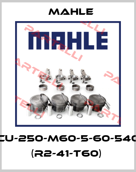CU-250-M60-5-60-540 (R2-41-T60)  MAHLE