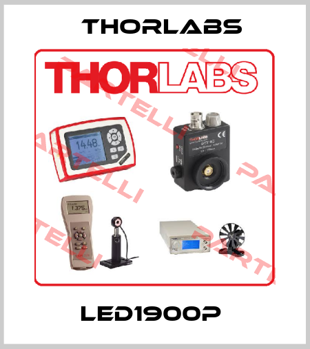 LED1900P  Thorlabs