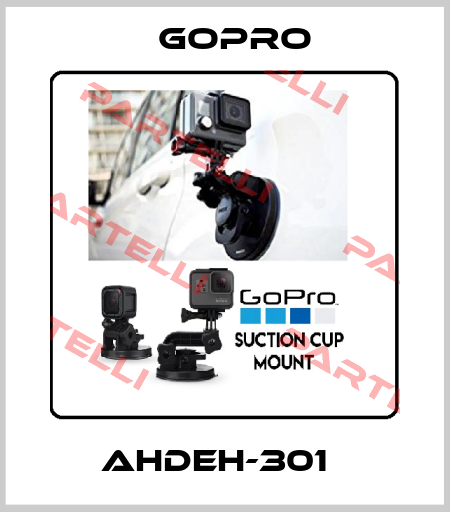 AHDEH-301   GoPro