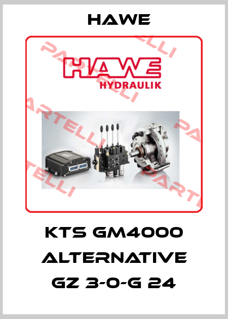 KTS GM4000 ALTERNATIVE GZ 3-0-G 24 Hawe