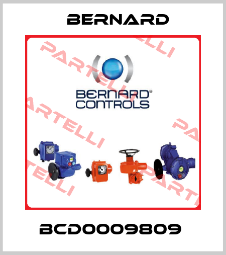 BCD0009809  Bernard