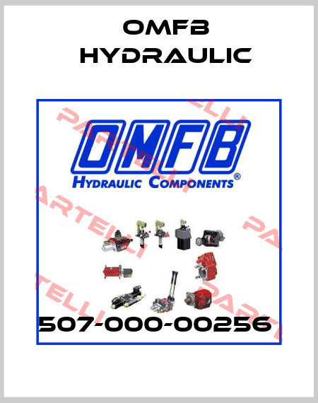 507-000-00256  OMFB Hydraulic