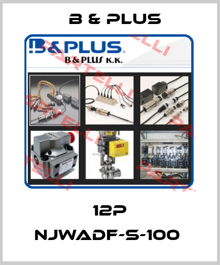 12P NJWADF-S-100  B & PLUS