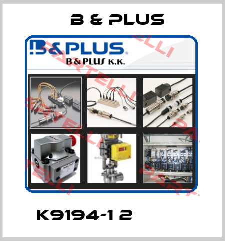K9194-1 2 ﾄｸｼｭ  B & PLUS