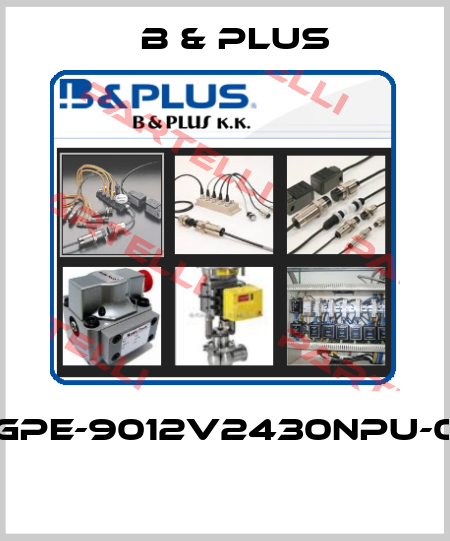 RGPE-9012V2430NPU-04  B & PLUS