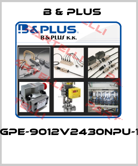 RGPE-9012V2430NPU-10  B & PLUS