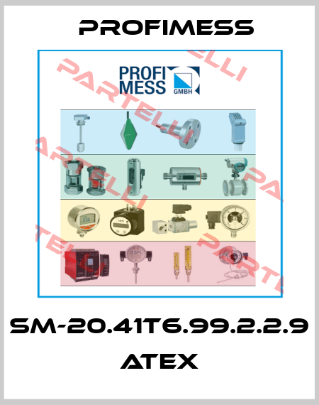 SM-20.41T6.99.2.2.9 ATEX Profimess