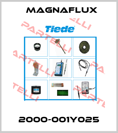2000-001Y025 Magnaflux