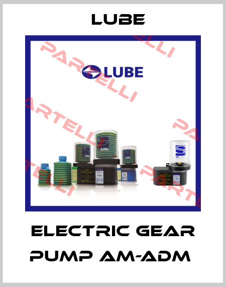 Electric gear pump AM-ADM  Lube