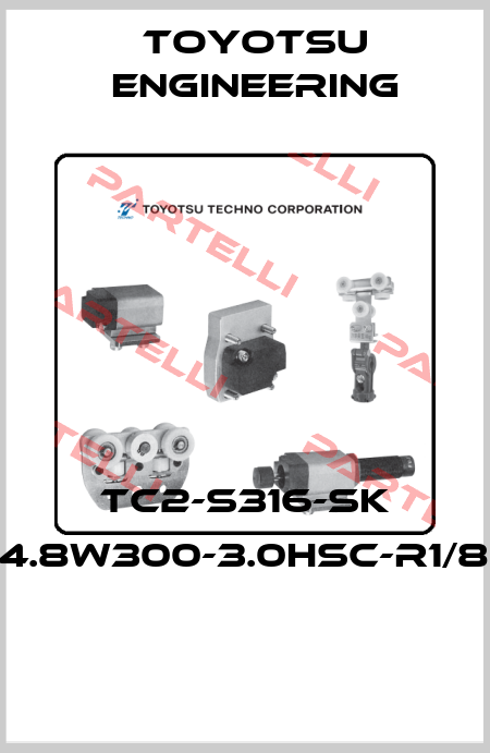 TC2-S316-SK (2)4.8W300-3.0HSC-R1/8CF  Toyotsu Engineering