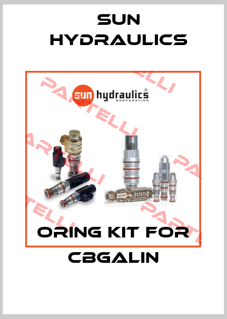 Oring Kit for CBGALIN Sun Hydraulics