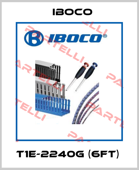 T1E-2240G (6ft)  Iboco
