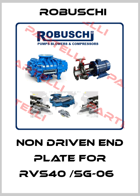 Non driven end plate for RVS40 /SG-06   Robuschi