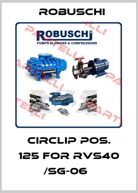 Circlip pos. 125 for RVS40 /SG-06   Robuschi