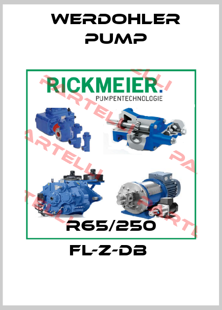 R65/250 FL-Z-DB  Werdohler Pump