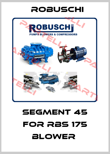 Segment 45 for RBS 175 Blower  Robuschi