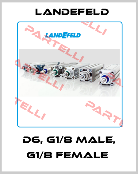 D6, G1/8 MALE, G1/8 FEMALE  Landefeld