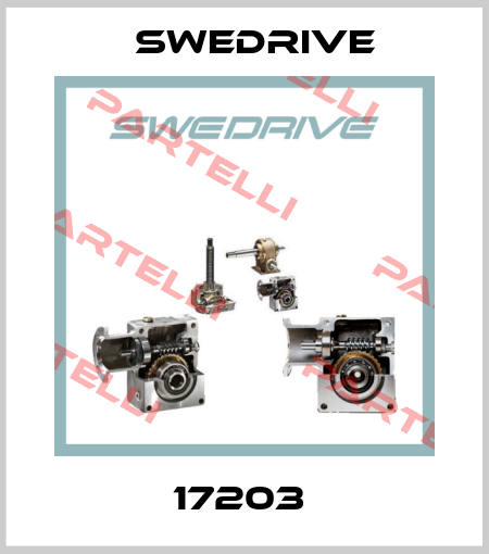 17203  Swedrive