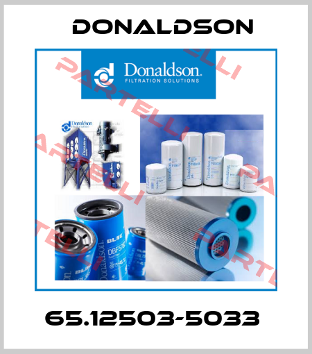 65.12503-5033  Donaldson