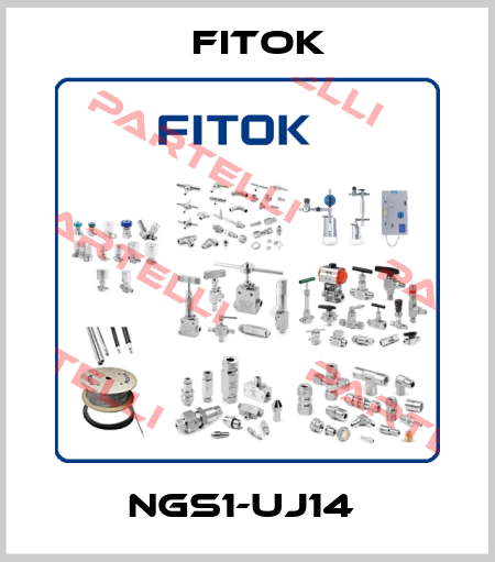 NGS1-UJ14  Fitok