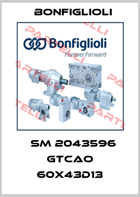 МSM 2043596 GTCAO 60x43D13 Bonfiglioli