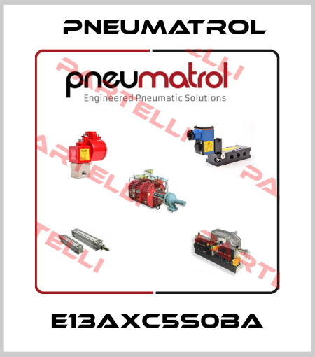 E13AXC5S0BA Pneumatrol
