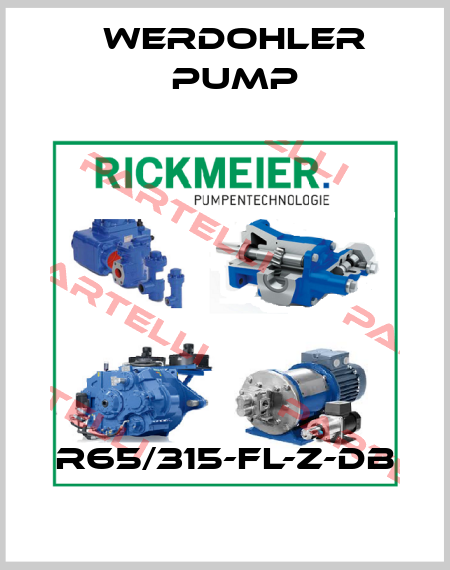 R65/315-FL-Z-DB Werdohler Pump