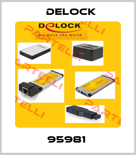 95981  Delock