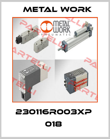 230116R003XP  018  Metal Work