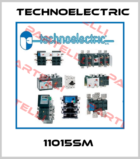 11015SM  Technoelectric