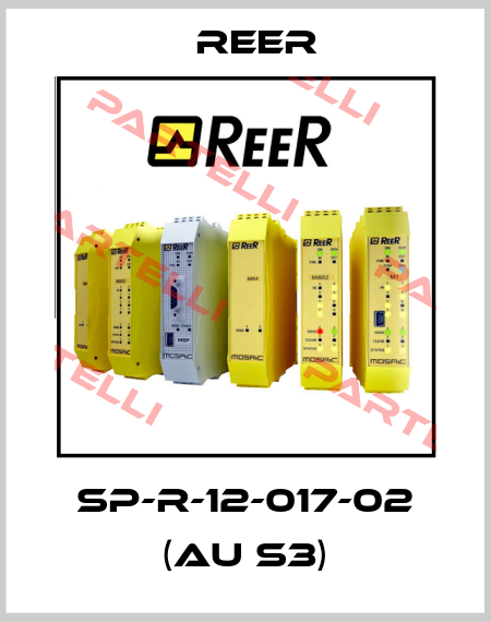 SP-R-12-017-02 (AU S3) Reer