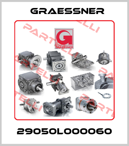 29050L000060 Graessner
