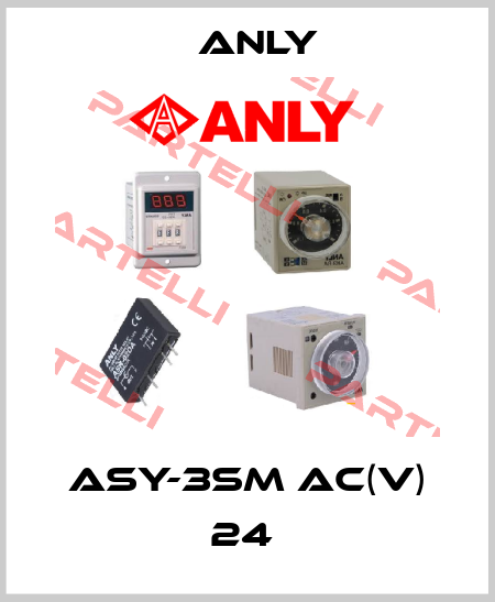 ASY-3SM AC(V) 24  Anly
