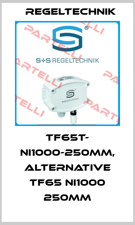 TF65T- NI1000-250mm, alternative TF65 NI1000 250MM Regeltechnik