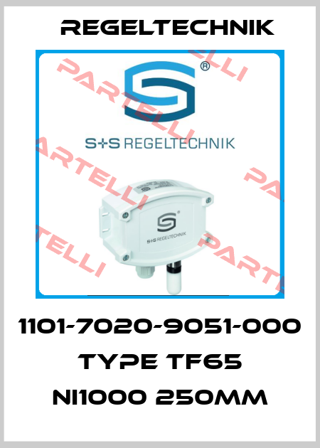 1101-7020-9051-000 Type TF65 NI1000 250MM Regeltechnik