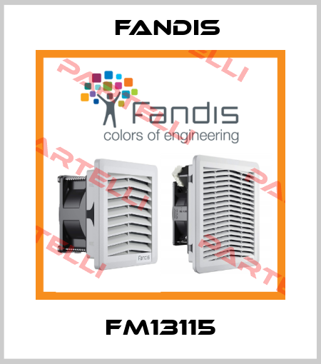FM13115 Fandis