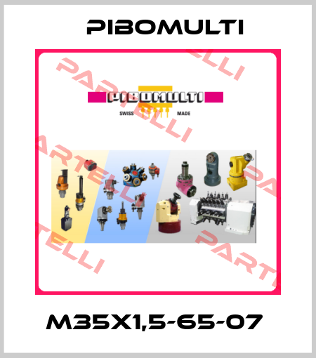 M35x1,5-65-07  Pibomulti
