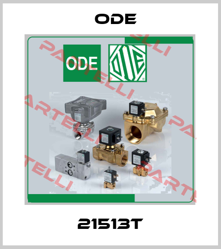 21513T Ode