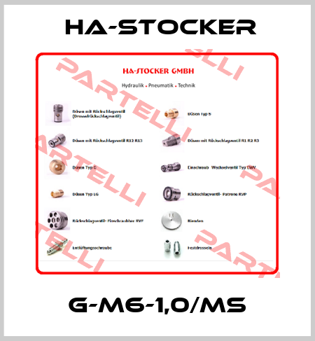 G-M6-1,0/MS HA-Stocker 